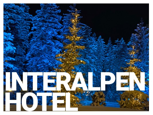 snowcovered trees at night with blue light